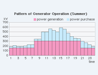 Pattern of Generator Operation (Summer)